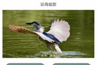 摄踪觅影