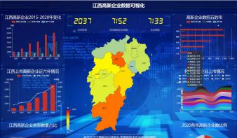 基于网络数据的高新技术企业数据可视化