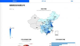 苏宁重点互联网零售业务销售数据可视化交互网页