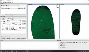 面向定制化运动装备3D打印的三维变形模拟系统(Insole3D)