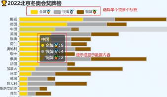 冰与雪之歌：2022年北京冬奥会数据可视化分析