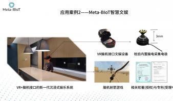 Meta-BIoT——基于AI与VR的脑机元宇宙平台