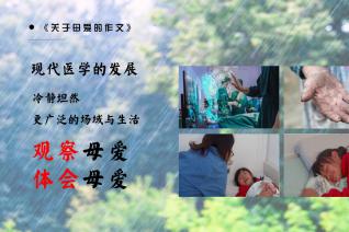 《关于母爱的作文》